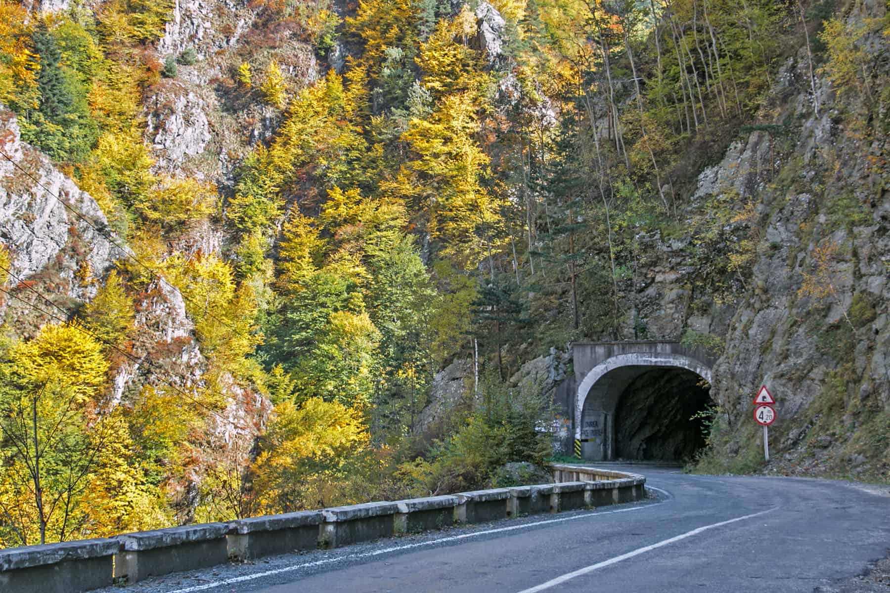 A road enters a tunnel through a mountain covered in colourful trees