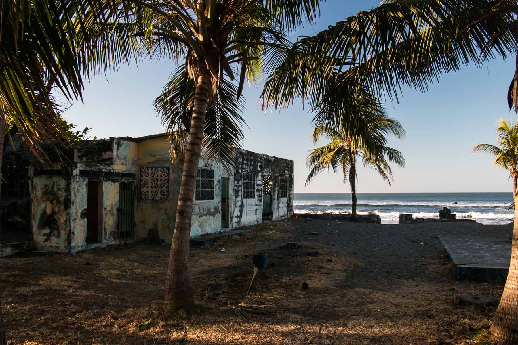 Palm trees beside an old crumbling building on the beach