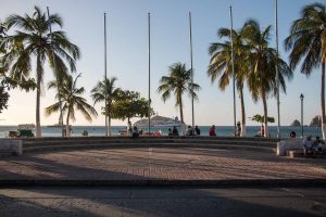 Palm trees on the edge of the sea in Santa Marta Colombia