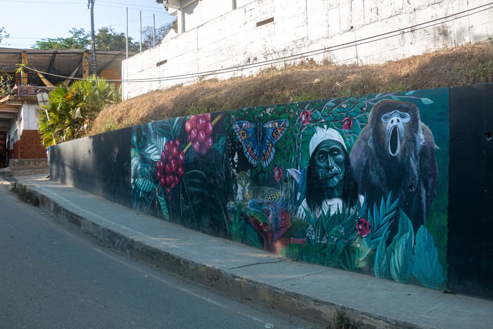 Street art with an indigenous person, coffee plants, and a howler monkey