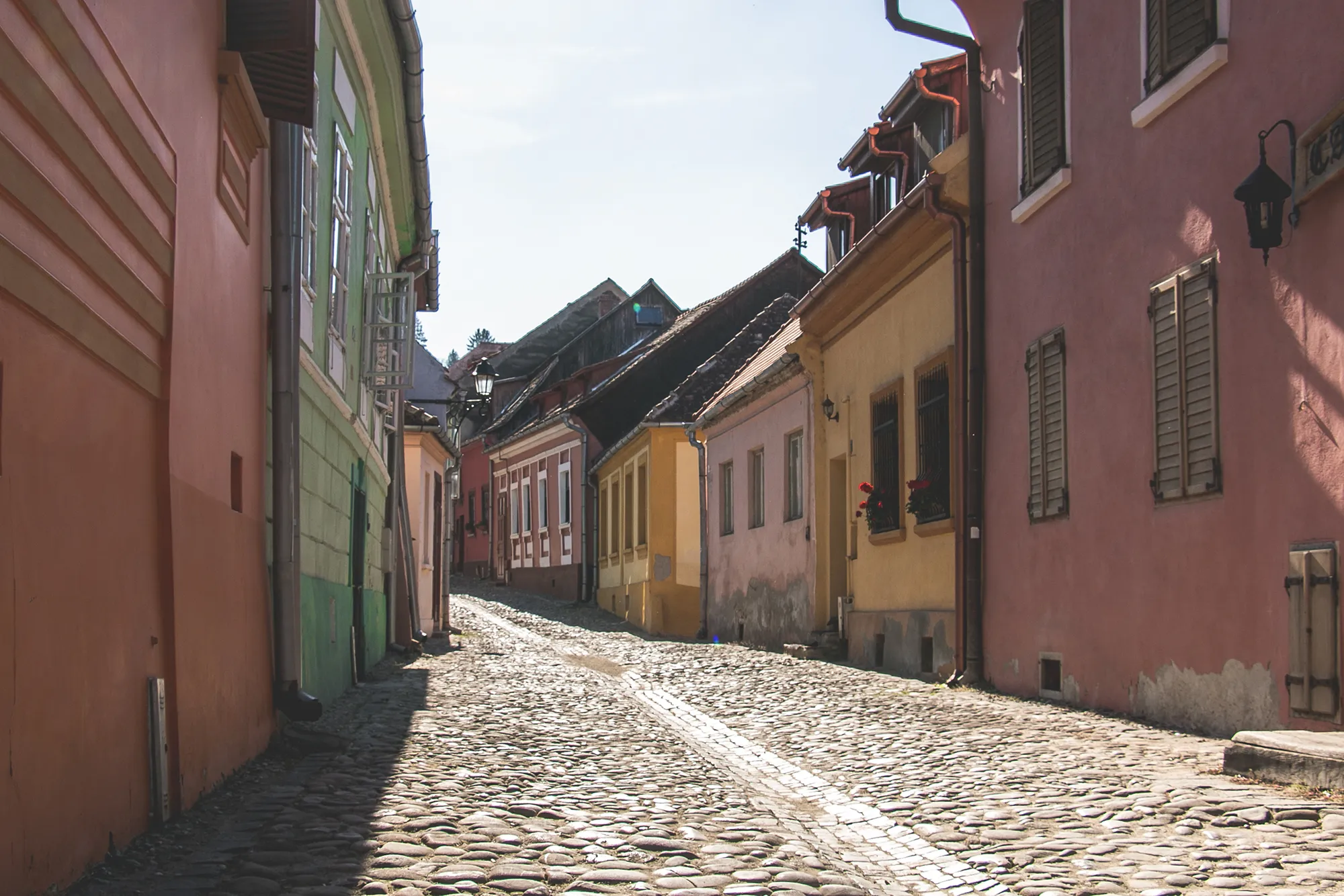 Colourful houses line a cobblestone street in Sighisoara Romania.